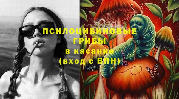 крисы Богородицк